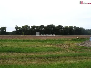 Prodej pole, Benátky nad Jizerou, Pražská, 6490 m2