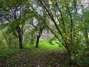 Prodej pozemku pro bydlení, Benešov, 1535 m2