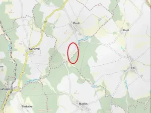 Prodej lesa, Tis, 906 m2