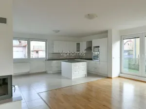 Pronájem vily, Průhonice, Pod Valem II., 285 m2