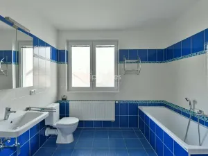 Pronájem vily, Průhonice, Pod Valem II., 285 m2