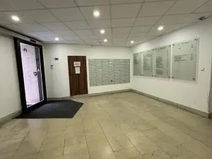 Pronájem kanceláře, Brno, Starobrněnská, 45 m2