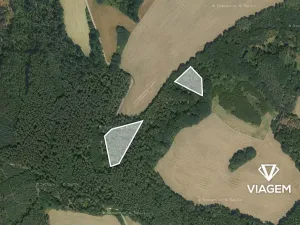 Prodej podílu lesa, Snědovice, 4193 m2