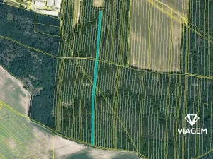 Prodej podílu lesa, Svatobořice-Mistřín, 3211 m2