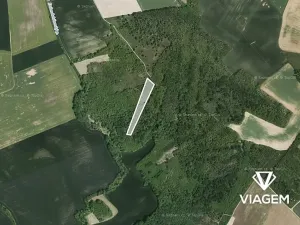 Prodej podílu lesa, Rybníky, 2317 m2