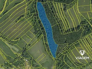 Prodej podílu lesa, Vranová Lhota, 1741 m2