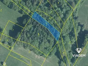 Prodej podílu lesa, Horní Lideč, 662 m2