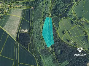 Prodej podílu lesa, Sudislav nad Orlicí, 21329 m2