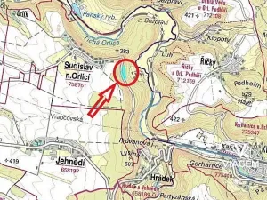 Prodej podílu lesa, Sudislav nad Orlicí, 21329 m2
