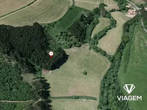 Prodej podílu lesa, Radošovice, 1094 m2