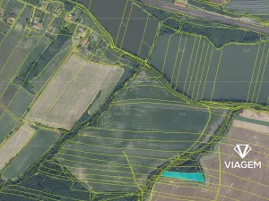 Prodej lesa, Starý Jičín, 4723 m2