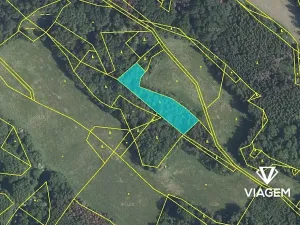 Prodej podílu lesa, Horní Habartice, 2694 m2