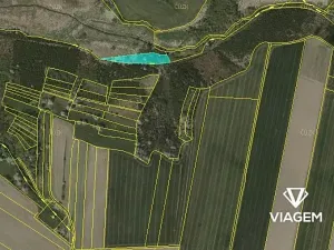 Prodej podílu lesa, Budeč, 2254 m2