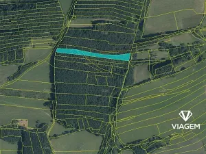 Prodej podílu lesa, Březůvky, 3839 m2