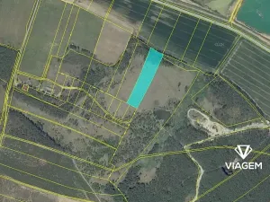 Prodej podílu lesa, Travčice, 1044 m2