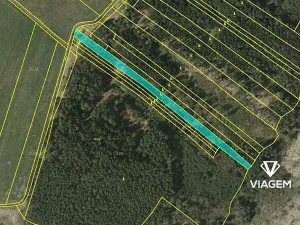 Prodej podílu lesa, Drahov, 3880 m2