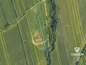 Prodej podílu pole, Hrubá Vrbka, 743 m2