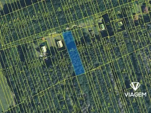 Prodej podílu lesa, Kněždub, 3060 m2