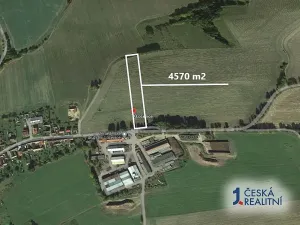 Prodej podílu pole, Ločenice, 1142 m2