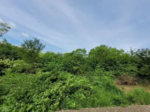 Prodej pozemku pro bydlení, Osvětimany, 1645 m2