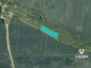 Prodej podílu pole, Františkovy Lázně, 5753 m2