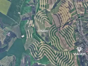 Prodej pole, Bošovice, 2181 m2