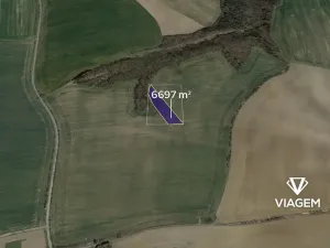 Prodej podílu pole, Kluky, 1116 m2