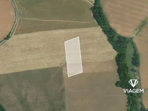 Prodej pole, Petroupim, 7931 m2