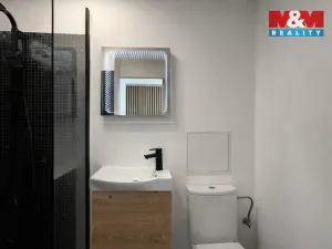 Pronájem bytu 1+1, Havířov - Podlesí, Kosmonautů, 30 m2