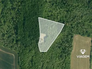 Prodej podílu lesa, Dobrovice, 2060 m2