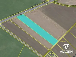 Prodej podílu pole, Bořanovice, 1999 m2