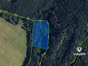 Prodej podílu pole, Dolní Újezd, 2804 m2