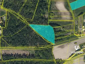 Prodej podílu lesa, Dašice, 5360 m2