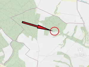 Prodej lesa, Ledce, 285 m2