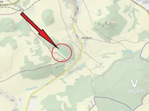 Prodej podílu lesa, Česká Kamenice, 1343 m2