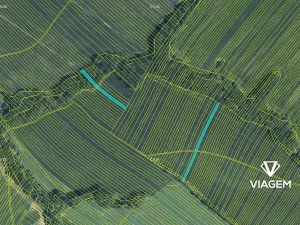 Prodej podílu pole, Mistřice, 3801 m2