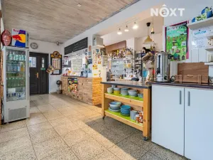 Prodej ubytování, Sezimovo Ústí, Soukeník, 220 m2