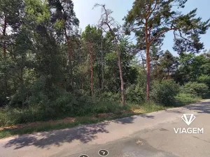 Prodej lesa, Křenek, 2867 m2