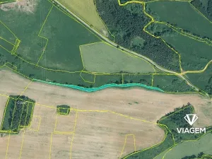 Prodej lesa, Svojšín, 3555 m2