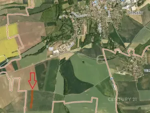 Prodej pole, Velvary, 6671 m2