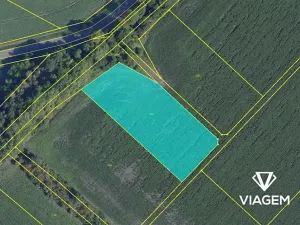 Prodej podílu pole, Netřebice, 810 m2