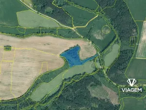 Prodej lesa, Svojšín, 11749 m2