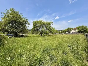 Prodej pozemku pro bydlení, Olšany, 1816 m2