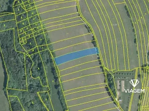 Prodej pole, Březůvky, 2058 m2