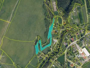 Prodej podílu lesa, Vrchovany, 2042 m2