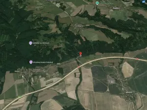 Prodej lesa, Milenov, 820 m2