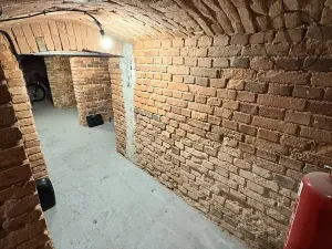 Pronájem bytu 1+kk, České Budějovice, Družstevní, 30 m2
