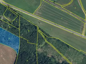 Prodej lesa, Horní Olešnice, 7037 m2