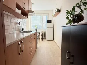 Pronájem bytu 1+1, Ostrava - Poruba, Vincence Makovského, 38 m2