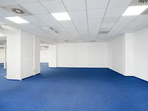 Pronájem kanceláře, Brno, Masarykova, 505 m2